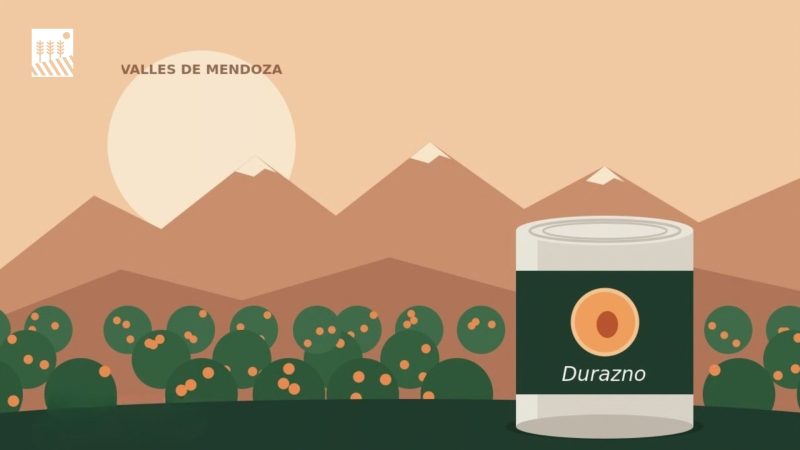 Durazno en lata. La fruta del verano, todo el año.